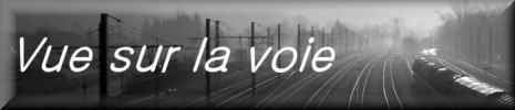 Actualit&eacute; et galeries de photos de trains